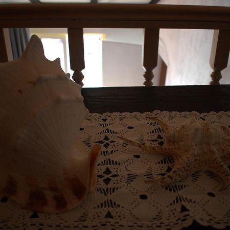 Apartman Marko Tribalj 外观 照片