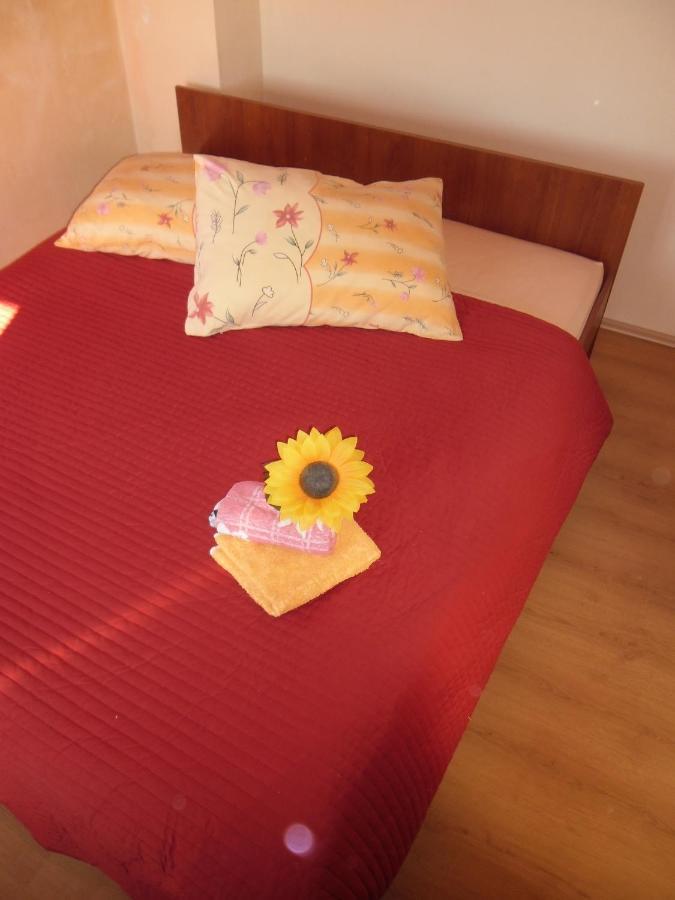 Apartman Marko Tribalj 外观 照片